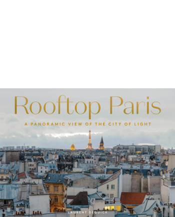 Rooftop Paris: A Panoramic view of the city of light