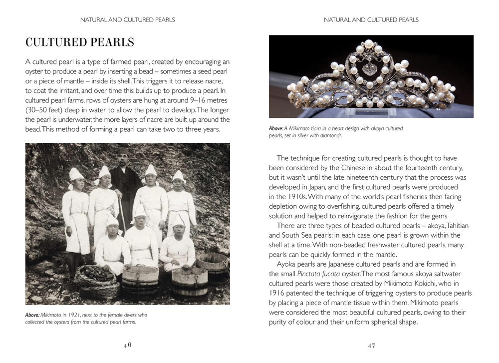 The Story of the Pearl - Image 4