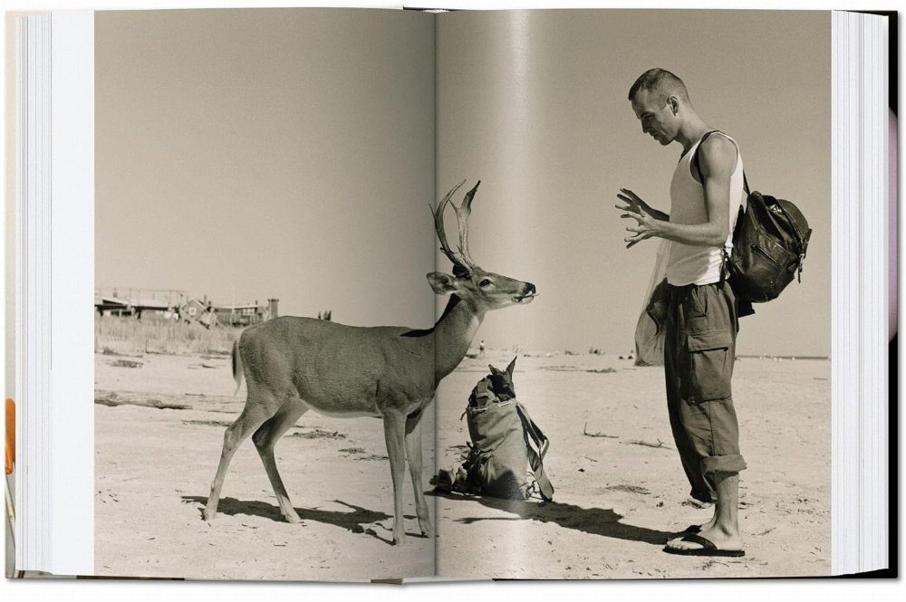 Wolfgang Tillmans. four books. 45th Ed. - Image 5