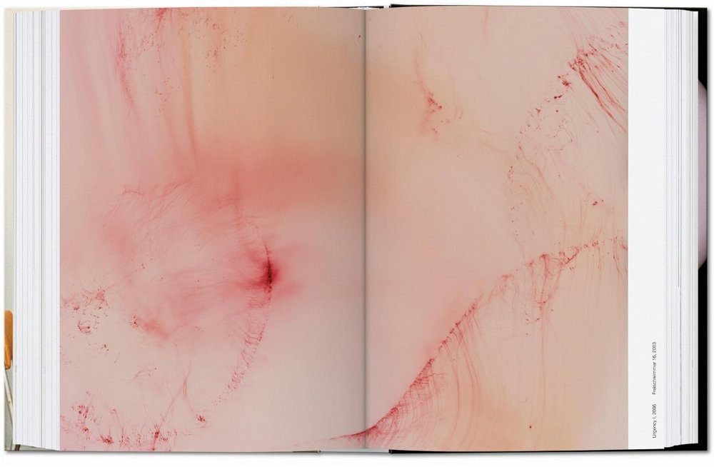 Wolfgang Tillmans. four books. 45th Ed. - Image 8