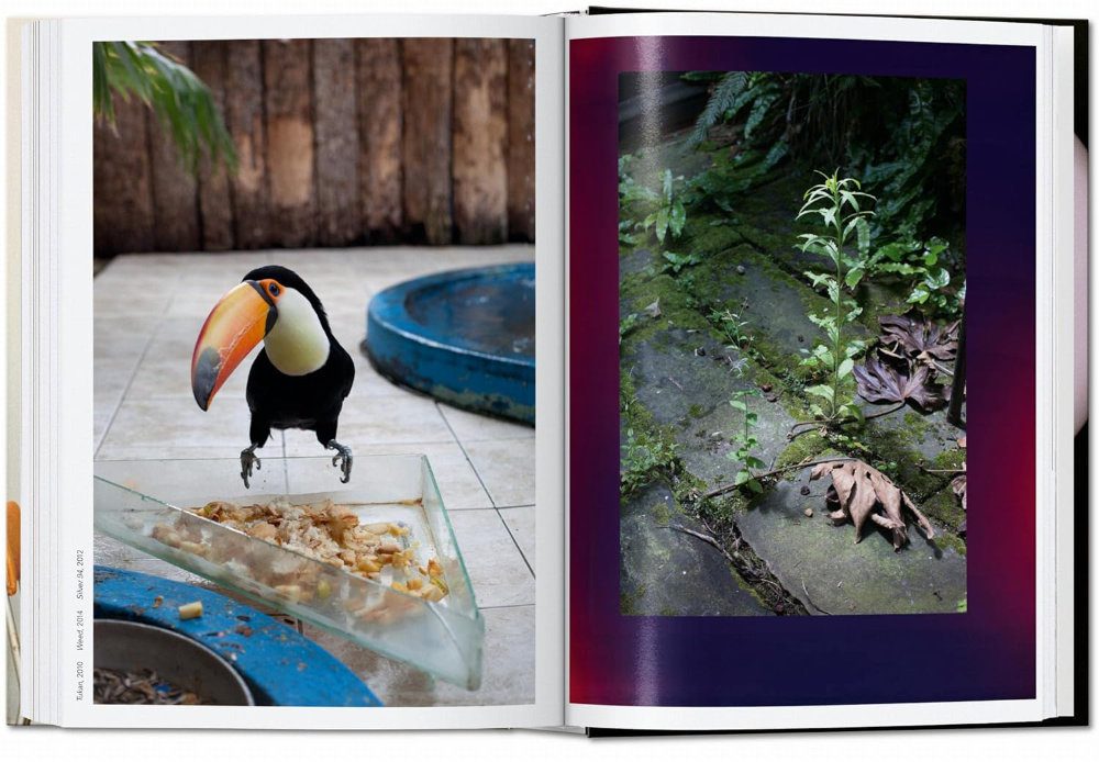 Wolfgang Tillmans. four books. 45th Ed. - Image 9